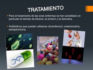  Para el tratamiento de las aves enfermas se han acreditado en 
particular el tartrato de tilosina, el aivlosín y la tiamulina. 
 Antibióticos que pueden utilizarse cloranfenicol, oxitetraciclina, 
estreptomicina. 
 