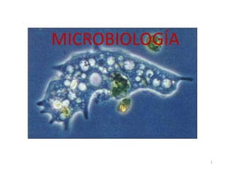 1
MICROBIOLOGÍA
 