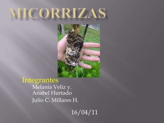 Integrantes

Melania Veliz y.
Anabel Hurtado
Julio C. Millares H.

16/04/11

 