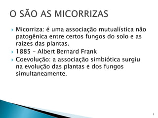 Micorrizas | PPTX