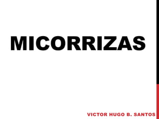 MICORRIZAS
VICTOR HUGO B. SANTOS
 