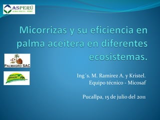 Ing´s. M. Ramirez A. y Kristel.
Equipo técnico - Micosaf
Pucallpa, 15 de julio del 2011
 