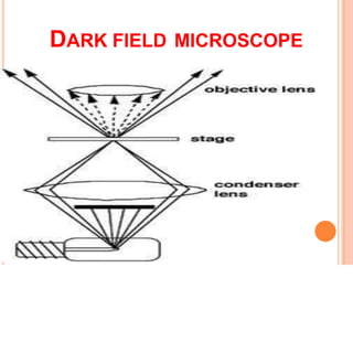 DARK FIELD MICROSCOPE
 