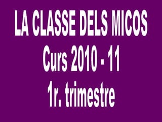 LA CLASSE DELS MICOS Curs 2010 - 11 1r. trimestre 