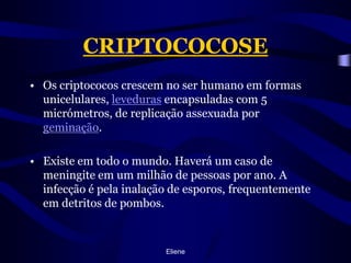 CRIPTOCOCOSEOs criptococos crescem no ser humano em formas unicelulares, leveduras encapsuladas com 5 micrómetros, de replicação assexuada por geminação.Existe em todo o mundo. Haverá um caso de meningite em um milhão de pessoas por ano. A infecção é pela inalação de esporos, frequentemente em detritos de pombos.Eliene