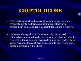 CRIPTOCOCOSEApós inalação, as leveduras multiplicam-se no pulmão, frequentemente de forma assintomática. Mais tarde disseminam-se pelo sangue, especialmente para o cérebro. Sintomas são aqueles de todas as meningites mas de intensidade mais moderada: dor de cabeça, náuseas, vómitos e fotofobia (sensibilidade exagerada à luz), que podem durar várias semanas (ao contrário da meningite bacteriana que é fatal em apenas algumas horas).Eliene