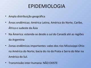 EPIDEMIOLOGIA
• Ampla distribuição geográfica
• Áreas endêmicas: América Latina, América do Norte, Caribe,
África e sudeste da Ásia
• Na Ámerica: estende-se desde o sul do Canadá até as regiões
da Argentina
• Zonas endêmicas importantes: vales dos rios Mississippi-Ohio
na América do Norte; bacia do rio da Prata e Serra do Mar na
América do Sul.
• Transmissão inter-humana: NÃO EXISTE
 