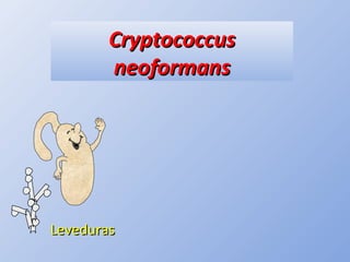 CryptococcusCryptococcus
neoformansneoformans
LevedurasLeveduras
 