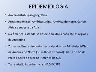 EPIDEMIOLOGIA
• Ampla distribuição geográfica
• Áreas endêmicas: América Latina, América do Norte, Caribe,
África e sudeste da Ásia
• Na Ámerica: estende-se desde o sul do Canadá até as regiões
da Argentina
• Zonas endêmicas importantes: vales dos rios Mississippi-Ohio
na América do Norte (30 milhões de casos) ; bacia do rio da
Prata e Serra do Mar na América do Sul.
• Transmissão inter-humana: NÃO EXISTE
 