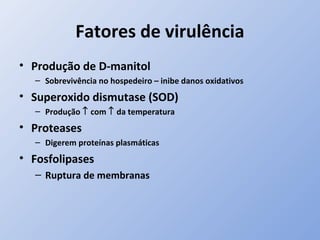 Fatores de virulência
• Produção de D-manitol
– Sobrevivência no hospedeiro – inibe danos oxidativos
• Superoxido dismutase (SOD)
– Produção ↑ com ↑ da temperatura
• Proteases
– Digerem proteínas plasmáticas
• Fosfolipases
– Ruptura de membranas
 