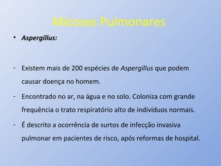 Micoses Pulmonares
• Aspergillus:
- Existem mais de 200 espécies de Aspergillus que podem
causar doença no homem.
- Encontrado no ar, na água e no solo. Coloniza com grande
frequência o trato respiratório alto de indivíduos normais.
- É descrito a ocorrência de surtos de infecção invasiva
pulmonar em pacientes de risco, após reformas de hospital.
 