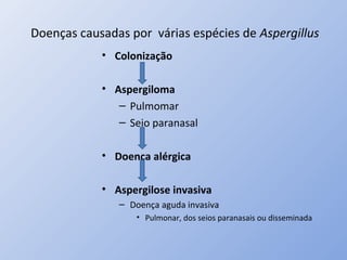 Doenças causadas por várias espécies de Aspergillus
• Colonização
• Aspergiloma
– Pulmomar
– Seio paranasal
• Doença alérgica
• Aspergilose invasiva
– Doença aguda invasiva
• Pulmonar, dos seios paranasais ou disseminada
 