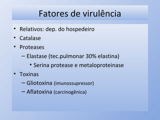 Fatores de virulência
• Relativos: dep. do hospedeiro
• Catalase
• Proteases
– Elastase (tec.pulmonar 30% elastina)
• Serina protease e metaloproteinase
• Toxinas
– Gliotoxina (imunossupressor)
– Aflatoxina (carcinogênica)
 