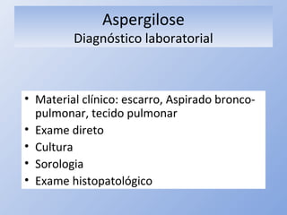 Aspergilose
Diagnóstico laboratorial
• Material clínico: escarro, Aspirado bronco-
pulmonar, tecido pulmonar
• Exame direto
• Cultura
• Sorologia
• Exame histopatológico
 