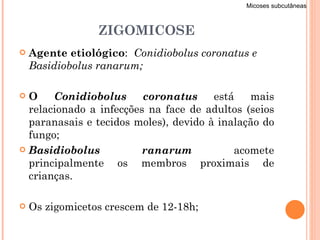 ZIGOMICOSE Agente etiológico :  Conidiobolus coronatus e Basidiobolus ranarum; O  Conidiobolus coronatus  está mais relacionado a infecções na face de adultos (seios paranasais e tecidos moles), devido à inalação do fungo; Basidiobolus ranarum   acomete principalmente os membros proximais de crianças.  Os zigomicetos crescem de 12-18h; Micoses subcutâneas 