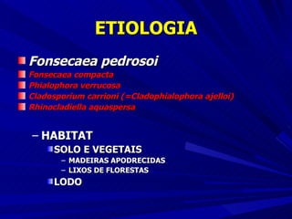 ETIOLOGIA Fonsecaea pedrosoi  Fonsecaea compacta Phialophora verrucosa Cladosporium carrioni (=Cladophialophora ajelloi) Rhinocladiella aquaspersa HABITAT SOLO E VEGETAIS MADEIRAS APODRECIDAS LIXOS DE FLORESTAS LODO 