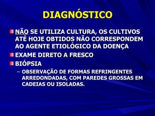 DIAGNÓSTICO NÃO  SE UTILIZA CULTURA, OS CULTIVOS ATÉ HOJE OBTIDOS NÃO CORRESPONDEM AO AGENTE ETIOLÓGICO DA DOENÇA EXAME DIRETO A FRESCO BIÓPSIA  OBSERVAÇÃO DE FORMAS REFRINGENTES ARREDONDADAS, COM PAREDES GROSSAS EM CADEIAS OU ISOLADAS. 