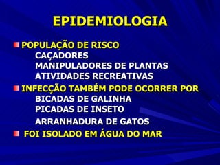 EPIDEMIOLOGIA POPULAÇÃO DE RISCO CAÇADORES MANIPULADORES DE PLANTAS ATIVIDADES RECREATIVAS INFECÇÃO TAMBÉM PODE OCORRER POR   BICADAS DE GALINHA PICADAS DE INSETO ARRANHADURA DE GATOS FOI ISOLADO EM ÁGUA DO MAR 