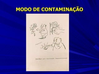 MODO DE CONTAMINAÇÃO 