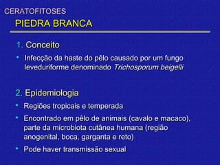 CERATOFITOSES
  PIEDRA BRANCA

  1. Conceito
     Infecção da haste do pêlo causado por um fungo
      leveduriforme denominado Trichosporum beigelli


  2. Epidemiologia
     Regiões tropicais e temperada
     Encontrado em pêlo de animais (cavalo e macaco),
      parte da microbiota cutânea humana (região
      anogenital, boca, garganta e reto)
     Pode haver transmissão sexual
 