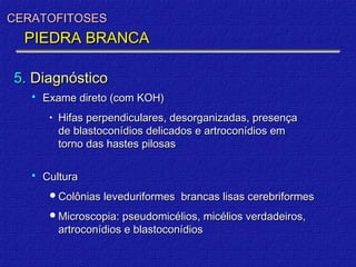CERATOFITOSES
  PIEDRA BRANCA

5. Diagnóstico
      Exame direto (com KOH)
        •   Hifas perpendiculares, desorganizadas, presença
            de blastoconídios delicados e artroconídios em
            torno das hastes pilosas

      Cultura
        Colônias leveduriformes     brancas lisas cerebriformes
        Microscopia: pseudomicélios, micélios verdadeiros,
            artroconídios e blastoconídios
 