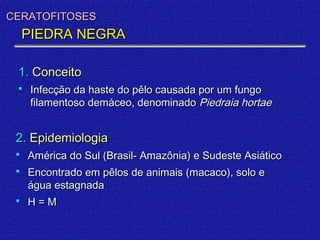 CERATOFITOSES
     PIEDRA NEGRA

 1. Conceito
     Infecção da haste do pêlo causada por um fungo
      filamentoso demáceo, denominado Piedraia hortae


 2. Epidemiologia
    América do Sul (Brasil- Amazônia) e Sudeste Asiático
    Encontrado em pêlos de animais (macaco), solo e
     água estagnada
    H=M
 