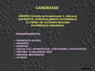 CANDIDÍASE

   GÊNERO Cândida (principalmente C. albicans)
   SAPRÓFITA, EVENTUALMENTE PATOGÊNICA
       CUTÂNEA OU CUTÂNEO-MUCOSA
          OCORRÊNCIA UNIVERSAL


 PREDISPONENTES:

⇒ CRIANÇAS E IDOSOS
⇒ GRAVIDEZ
⇒ DIABETES
⇒ USO DE ACO, ANTIBIÓTICOS, CORTICÓIDES, CITOSTÁTICOS
⇒ LINFOMA, TU MALIGNOS, AIDS
⇒ UMIDADE, MACERAÇÃO
⇒ OUTROS
 