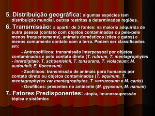 5. Distribuição geográfica: algumas espécies tem
  distribuição mundial, outras restritas a determinadas regiões.
6. Transmissão: a apartir de 3 fontes: na maioria adquirida de
  outra pessoa (contato com objetos contaminados ou pele-pele
  menos frequentemente), animais domésticos (cães e gatos) e
  menos comumente contato com a terra. Podem ser classificados
  em:
        - Antropofílicos: transmissão interpessoal por objetos
  contaminados e pelo contato direto (T. rubrum, T. mentagrophytes
  - interdigitale, T. schoenleinii, T. tonsurans, T. violaceum; M.
  audouinii; E. floccosum)
        - Zoofílicos: transmissão de animais para humanos por
  contato direto ou objetos contaminados (T. equinum, T.
  mentagrophytes var mentagrophytes, T. verrucosum e M. canis )
        - Geofílicos: presentes no ambiente (M. gypseum, M. nanum)
7. Fatores Predisponentes: atopia, imunossupressão
  tópica e sistêmica
 