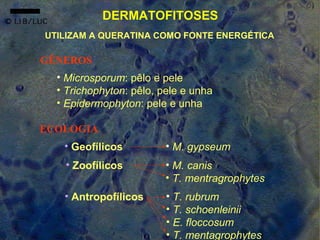 DERMATOFITOSES
UTILIZAM A QUERATINA COMO FONTE ENERGÉTICA

GÊNEROS
  • Microsporum: pêlo e pele
  • Trichophyton: pêlo, pele e unha
  • Epidermophyton: pele e unha

ECOLOGIA
   • Geofílicos          • M. gypseum
   • Zoofílicos          • M. canis
                         • T. mentragrophytes
   • Antropofílicos      • T. rubrum
                         • T. schoenleinii
                         • E. floccosum
                         • T. mentagrophytes
 