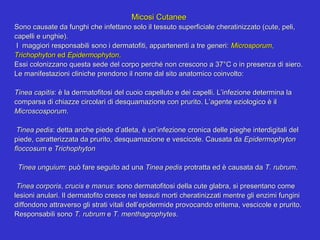 Micosi Cutanee
Sono causate da funghi che infettano solo il tessuto superficiale cheratinizzato (cute, peli,
capelli e unghie).
 I maggiori responsabili sono i dermatofiti, appartenenti a tre generi: Microsporum,
Trichophyton ed Epidermophyton.
Essi colonizzano questa sede del corpo perché non crescono a 37°C o in presenza di siero.
Le manifestazioni cliniche prendono il nome dal sito anatomico coinvolto:

Tinea capitis: è la dermatofitosi del cuoio capelluto e dei capelli. L’infezione determina la
comparsa di chiazze circolari di desquamazione con prurito. L’agente eziologico è il
Microscosporum.

 Tinea pedis: detta anche piede d’atleta, è un’infezione cronica delle pieghe interdigitali del
piede, caratterizzata da prurito, desquamazione e vescicole. Causata da Epidermophyton
floccosum e Trichophyton

 Tinea unguium: può fare seguito ad una Tinea pedis protratta ed è causata da T. rubrum.

 Tinea corporis, crucis e manus: sono dermatofitosi della cute glabra, si presentano come
lesioni anulari. Il dermatofito cresce nei tessuti morti cheratinizzati mentre gli enzimi fungini
diffondono attraverso gli strati vitali dell’epidermide provocando eritema, vescicole e prurito.
Responsabili sono T. rubrum e T. menthagrophytes.
 