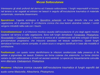 Micosi Sottocutanee

Interessano gli strati profondi del derma ed il tessuto sottocutaneo. I funghi responsabili si trovano
nel terreno e nei vegetali ed entrano nei tessuti in seguito all’inoculazione traumatica di materiale
contaminato, raramente disseminano.

Sporotricosi: l’agente eziologico è Sporothrix schenckii, un fungo dimorfo che vive sulla
vegetazione, ed è ubiquitario. E’ un’infezione cronica che crea lesioni ulcerative nodulari. I conidi
vengono introdotti nella cute con i traumi.

Cromoblastomicosi: è un’infezione micotica causata dall’inoculazione di uno degli agenti micotici
residenti nel terreno e nella vegetazione. Sono tutti funghi dematiacei: Fonsecaea, Phialophora,
Rinocladiella e Cladosporium. L’infezione è cronica ed è caratterizzata dal lento sviluppo di lesioni
granulomatose progressive, che inducono iperplasia nel tessuto epidermico. Questi funghi
dematiacei formano colonie compatte, di colore scuro e vengono identificati in base alla modalità di
conidiazione.

Feoifomicosi: con questo nome identifichiamo le infezioni caratterizzate dalla presenza di ife
settate e pigmentate nei tessuti. Esistono sia forme cutanee che sistemiche. Le forme cliniche
variano da cisti sottocutanee a sinusiti ad ascessi cerebrali. Le specie più frequentemente coinvolte
sono Alternaria, Cladosporium, Phialophora.

Micetoma: infezione cronica causata dall’inoculazione traumatica di funghi saprofiti del
suolo come Madurella, Allescheria, Phialophora.
 