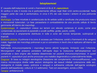 Istoplasmosi
E’ causata dall’inalazione di conidi o frammenti di ife di H. capsulatum.
Si verifica in tutto il mondo ma è particolarmente diffusa negli Stati Uniti centro-occidentali. Nella
maggior parte dei casi è asintomatica, in circa il 5% dei casi mostra i sintomi di una polmonite
acuta.
Morfologia: La fase miceliale è caratterizzata da ife settate sottili e ramificate che producono macro
e microconidi tubercolari. La fase parassitaria è contraddistinta da una piccola cellula di lievito
gemmante all’interno dei macrofagi.
Epidemiologia: H. capsulatum cresce sui terreni con elevato contenuto di azoto, come aree
contaminate da escrementi di pipistrelli e uccelli (soffitte, grotte, parchi, cortili).
L’istoplasmosi è ampiamente distribuita in tutte e zone del mondo temperate, subtropicali e
tropicali.
Sindromi cliniche: Il polmone è la zona di accesso per l’infezione; conidi o frammenti di ife vengono
inalati, fagocitati dai macrofagi polmonari e poi si convertono in lieviti che si replicano all’interno dei
macrofagi.
Nell’ospite immunocompetente i macrofagi hanno attività fungicida, limitando così l’infezione.
Microrganismi vitali possono persistere nell’ospite dopo la risoluzione dell’istoplasmosi non
complicate e dare origine alla malattia disseminata nei pazienti immunocompromessi. In questi
pazienti H. capsulatum può anche provocare una malattia degenerativa e potenzialmente letale.
Diagnosi: Si basa su indagini sierologiche (fissazione del complemento; immunodiffusione), sulla
ricerca microscopica diretta nelle sezioni istologiche dei tessuti infettati (colorazione delle sez.
istologiche di midollo osseo, polmone e sangue) e sull’esame colturale dell’agente eziologico
(esame dell’espettorato; coltura di 1-2 settimane). Test con esoantigeni, sonda a DNA.
Terapia: amfotericina B.
 