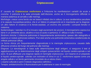 Criptococcosi


E’ causata da Criptococcus neoformans e l’infezione ha manifestazioni variabili da acute a
croniche. Il polmone è la sede principale dell’infezione, anche se il microrganismo diffonde in
maniera sistemica al cervello e alle meningi.
Morfologia: cresce come lievito sia nei tessuti infettati che in coltura. La sua caratteristica peculiare
è la capsula mucopolisaccaridica, che è un fattore di patogenicità ed è importante per la diagnosi.
Un altro fattore di virulenza è la fenolo-ossidasi, un enzima che converte i composti fenolici in
melanina.
Epidemiologia: I sierotipi A e D si trovano negli escrementi dei piccioni, il microrganismo sopravvive
bene in un ambiente secco, alcalino e ricco di azoto e ipertonico. E’ diffuso in tutto il mondo.
Sindromi cliniche: L’infezione polmonare è frequentemente asintomatica; spesso alla radiografia si
osserva un nodulo polmonare solitario. Può dare anche una polmonite sintomatica caratterizzata da
infiltrati polmonari diffusi.
La forma clinica più frequentemente diagnosticata è la meningite criptococcica, causata dalla
diffusione ematica del fungo dal polmone alle meningi.
Diagnosi: La sierodiagnosi si basa sulla determinazione degli antigeni, si eseguono il test di
agglutinazione per la determinazione degli antigeni poisaccaridici nel liquido cerebro-spinale e nel
siero. Si può effettuare una diagnosi rapida di meningite criptococcica con l’esame di un preparato
di liquido cerebro-spinale colorato con inchiostro di china in cui C. neoformans appare come una
singola cellula o un lievito gemmante circondato da un alone chiaro.
L’esame colturale è però il metodo diagnostico definitivo.
Terapia: amfotericina B e 5-fluorocitosina per 6 settimane in caso di meningite.
 