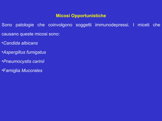 Micosi Opportunistiche

Sono patologie che coinvolgono soggetti immunodepressi. I miceti che

causano queste micosi sono:
•Candida albicans

•Aspergillus fumigatus

•Pneumocystis carinii

•Famiglia Mucorales
 