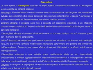 Aspergillosi
Le varie specie di Aspergillus causano un ampio spettro di manifestazioni cliniche e l’aspergillosi
viene contratta da sorgenti esogene
Morfologia: Sono identificati in coltura in base alle loro caratteristiche morfologiche, alle modalità di
sviluppo dei conidiofori ed al colore dei conidi. Sono comuni nell’ambiente, le specie A. fumigatus e
A. flavus sono quelle più frequentemente associate a malattia invasiva.
Sindromi cliniche: Il soggetto sano non è soggetto ad aspergillosi sistemica, è un infezione
puramente opportunistica ed il tipo di malattia dipende dallo stato immunitario e fisiologico, locale e
generale dell’ospite.
L’Aspergillosi allergica si presenta inizialmente come un processo benigno che può diventare grave
con l’avanzare dell’età del paziente.
Nella Colonizzazione secondaria può essere presente una situazione cronica con sintomatologia
lieve, ma si possono verificare modificazioni patologiche del polmone che portano alla formazione
dell’aspergilloma. Questo è una massa sferica di elementi ifali settati e ramificati, visibili anche
radiologicamente.
L’Aspergillosi sistemica è una malattia grave, rapidamente fatale se non diagnosticata
precocemente e trattata aggressivamente. Nell’immunocompromesso il microrganismo diffonde
dalla sede primitiva ai tessuti circostanti, ed all’interno dei vasi ematici le ife causano emorragie.
Diagnosi: La diagnosi di aspergillosi invasiva è valida quando si osservano nei campioni clinici ife
settate che si diramano ad intervalli regolari.
 