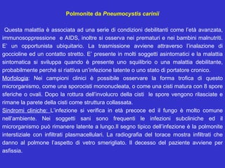 Polmonite da Pneumocystis carinii

 Questa malattia è associata ad una serie di condizioni debilitanti come l’età avanzata,
immunosoppressione e AIDS, inoltre si osserva nei prematuri e nei bambini malnutriti.
E’ un opportunista ubiquitario. La trasmissione avviene attraverso l’inalazione di
goccioline ed un contatto stretto. E’ presente in molti soggetti asintomatici e la malattia
sintomatica si sviluppa quando è presente uno squilibrio o una malattia debilitante,
probabilmente perché si riattiva un’infezione latente o uno stato di portatore cronico.
Morfologia: Nei campioni clinici è possibile osservare la forma trofica di questo
microrganismo, come una sporocisti mononucleata, o come una cisti matura con 8 spore
sferiche o ovali. Dopo la rottura dell’involucro della cisti le spore vengono rilasciate e
rimane la parete della cisti come struttura collassata.
Sindromi cliniche: L’infezione si verifica in età precoce ed il fungo è molto comune
nell’ambiente. Nei soggetti sani sono frequenti le infezioni subcliniche ed il
microrganismo può rimanere latente a lungo.Il segno tipico dell’infezione è la polmonite
interstiziale con infiltrati plasmacellulari. La radiografia del torace mostra infiltrati che
danno al polmone l’aspetto di vetro smerigliato. Il decesso del paziente avviene per
asfissia.
 