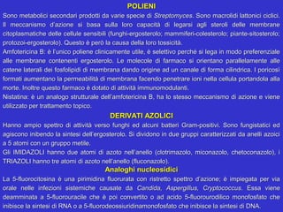 POLIENI
Sono metabolici secondari prodotti da varie specie di Streptomyces. Sono macrolidi lattonici ciclici.
Il meccanismo d’azione si basa sulla loro capacità di legarsi agli steroli delle membrane
citoplasmatiche delle cellule sensibili (funghi-ergosterolo; mammiferi-colesterolo; piante-sitosterolo;
protozoi-ergosterolo). Questo è però la causa della loro tossicità.
Amfotericina B: è l’unico poliene clinicamente utile, è selettivo perché si lega in modo preferenziale
alle membrane contenenti ergosterolo. Le molecole di farmaco si orientano parallelamente alle
catene laterali dei fosfolipidi di membrana dando origine ad un canale di forma cilindrica. I poricosì
formati aumentano la permeabilità di membrana facendo penetrare ioni nella cellula portandola alla
morte. Inoltre questo farmaco è dotato di attività immunomodulanti.
Nistatina: è un analogo strutturale dell’amfotericina B, ha lo stesso meccanismo di azione e viene
utilizzato per trattamento topico.
                                        DERIVATI AZOLICI
Hanno ampio spettro di attività verso funghi ed alcuni batteri Gram-positivi. Sono fungistatici ed
agiscono inibendo la sintesi dell’ergosterolo. Si dividono in due gruppi caratterizzati da anelli azoici
a 5 atomi con un gruppo metile.
Gli IMIDAZOLI hanno due atomi di azoto nell’anello (clotrimazolo, miconazolo, chetoconazolo), i
TRIAZOLI hanno tre atomi di azoto nell’anello (fluconazolo).
                                      Analoghi nucleosidici
La 5-fluorocitosina è una pirimidina fluorurata con ristretto spettro d’azione; è impiegata per via
orale nelle infezioni sistemiche causate da Candida, Aspergillus, Cryptococcus. Essa viene
deamminata a 5-fluorouracile che è poi convertito o ad acido 5-fluorourodilico monofosfato che
inibisce la sintesi di RNA o a 5-fluorodeossiuridinamonofosfato che inibisce la sintesi di DNA.
 