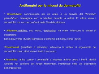 Antifungini per le micosi da dermatofiti

• Griseofulvina: somministrato per via orale, è un derivato del Penicillum
griseofulvum. Interagisce con la tubulina durante la mitosi. E’ attiva verso i
dermatofiti, ma non nei confronti della Candida albicans.


• Allilamine:-naftifine, uso topico, -terbinafina, via orale. Inibiscono la sintesi di
ergosterolo.
Sono attivi verso i funghi filamentosi e dimorfici ed inattivi verso i lieviti.


•Tiocarbamati (tolnaftato e tolciclato): inibiscono la sintesi di ergosterolo nei
dermatofiti, meno attivi verso i lieviti. Uso topico.


• Amorolfina: attiva contro i dermatofiti e modesta attività verso i lieviti, attività
variabile nei confronti dei funghi filamentosi. Interferisce nella via biosintetica
dell’ergosterolo.
 