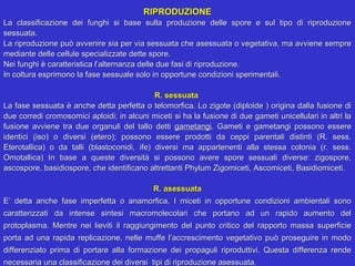 RIPRODUZIONE
La  classificazione  dei  funghi  si  base  sulla  produzione  delle  spore  e  sul  tipo  di  riproduzione 
sessuata. 
La riproduzione può avvenire sia per via sessuata che asessuata o vegetativa, ma avviene sempre 
mediante delle cellule specializzate dette spore. 
Nei funghi è caratteristica l’alternanza delle due fasi di riproduzione. 
In coltura esprimono la fase sessuale solo in opportune condizioni sperimentali.

                                                   R. sessuata
La fase sessuata è anche detta perfetta o telomorfica. Lo zigote (diploide ) origina dalla fusione di 
due corredi cromosomici aploidi; in alcuni miceti si ha la fusione di due gameti unicellulari in altri la 
fusione  avviene  tra  due  organuli  del  tallo  detti  gametangi.  Gameti  e  gametangi  possono  essere 
identici  (iso)  o  diversi  (etero);  possono  essere  prodotti  da  ceppi  parentali  distinti  (R.  sess. 
Eterotallica)  o  da  talli  (blastoconidi,  ife)  diversi  ma  appartenenti  alla  stessa  colonia  (r.  sess. 
Omotallica)  In  base  a  queste  diversità  si  possono  avere  spore  sessuali  diverse:  zigospore, 
ascospore, basidiospore, che identificano altrettanti Phylum Zigomiceti, Ascomiceti, Basidiomiceti. 

                                               R. asessuata
E’  detta  anche  fase  imperfetta  o  anamorfica.  I  miceti  in  opportune  condizioni  ambientali  sono 
caratterizzati  da  intense  sintesi  macromolecolari  che  portano  ad  un  rapido  aumento  del 
protoplasma.  Mentre  nei  lieviti  il  raggiungimento  del  punto  critico  del  rapporto  massa  superficie 
porta  ad  una  rapida  replicazione,  nelle  muffe  l’accrescimento  vegetativo  può  proseguire  in  modo 
differenziato  prima  di  portare  alla  formazione  dei  propaguli  riproduttivi.  Questa  differenza  rende 
necessaria una classificazione dei diversi  tipi di riproduzione asessuata.
 