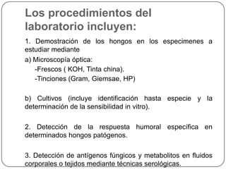 Los procedimientos del
laboratorio incluyen:
1. Demostración de los hongos en los especimenes a
estudiar mediante
a) Microscopía óptica:
   -Frescos ( KOH, Tinta china).
   -Tinciones (Gram, Giemsae, HP)

b) Cultivos (incluye identificación hasta especie y la
determinación de la sensibilidad in vitro).

2. Detección de la respuesta humoral específica en
determinados hongos patógenos.

3. Detección de antígenos fúngicos y metabolitos en fluidos
corporales o tejidos mediante técnicas serológicas.
 