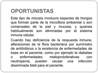 OPORTUNISTAS
Este tipo de micosis involucra especies de hongos
que forman parte de la microflora ambiental o son
comensales de la piel y mucosa, y quienes
habitualmente son eliminadas por el sistema
inmune celular.
Cuando hay deficiencia de la respuesta inmune,
alteraciones de la flora bacteriana por suministro
de antibióticos o la existencia de enfermedades de
base en el paciente, como por ejemplo la diabetes
o     enfermedades        mieloproloferativas  con
neutropenia, pueden causar una infección
diseminada fatal para el paciente.
 