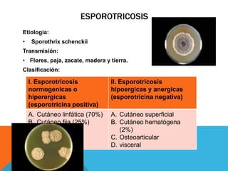 ESPOROTRICOSIS
Etiología:
•    Sporothrix schenckii
Transmisión:
• Flores, paja, zacate, madera y tierra.
Clasificación:

    l. Esporotricosis            ll. Esporotricosis
    normogenicas o               hipoergicas y anergicas
    hiperergicas                 (esporotricina negativa)
    (esporotricina positiva)
    A. Cutáneo linfática (70%)   A. Cutáneo superficial
    B. Cutáneo fija (25%)        B. Cutáneo hematógena
                                    (2%)
                                 C. Osteoarticular
                                 D. visceral
 