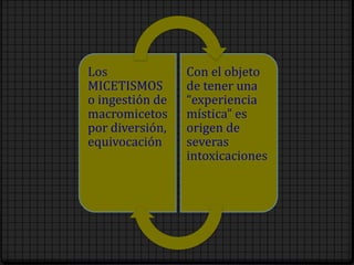 Los
MICETISMOS
o ingestión de
macromicetos
por diversión,
equivocación
Con el objeto
de tener una
“experiencia
mística” es
origen de
severas
intoxicaciones
 