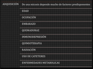 ADQUISICIÓN De una micosis depende mucho de factores predisponentes
EDAD
OCUPACIÓN
EMBARAZO
QUEMADURAZ
INMUNODEPRESIÓN
QUIMIOTERAPIA
RADIACIÓN
USO DE CATETERES
ENFERMEDADES METABOLICAS
 