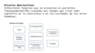 Micosiss Oportunistas
Infecciones fungicas que se presentan en pacientes
inmunocomprmetidos causadas por hongos que viven como
saprófilo en la naturaleza o en las cavidades de los seres
hummanos.
 