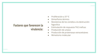 Factores que favorecen la
virulencia:
● Proliferación a 37 ºC
● Dimorﬁsmo térmico
● Resistencia de los conidios a la destrucción
fagocítica
● Estimulación de respuesta TH2 ineﬁcaz
● Producción de ureasa
● Producción de proteinasas extracelulares
● Mimetismo molecular
 