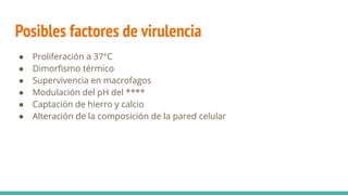 Posibles factores de virulencia
● Proliferación a 37°C
● Dimorﬁsmo térmico
● Supervivencia en macrofagos
● Modulación del pH del ****
● Captación de hierro y calcio
● Alteración de la composición de la pared celular
 