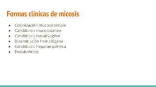 Formas clínicas de micosis
● Colonización mucosa simple
● Candidiasis mucocutánea
● Candidiasis bucal/vaginal
● Diseminación hematógena
● Candidiasis hepatoesplénica
● Endoftalmitis
 