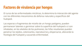 Factores de virulencia por hongos
El curso de las enfermedades micóticas, lo determina la interacción del agente
con los diferentes mecanismos de defensa naturales y especíﬁcos del
huésped.
Las esporas o fragmentos de micelio de un hongo patógeno, pueden
permanecer latentes o germinar sobre la superﬁcie del huésped o si son
inhaladas, en los alvéolos de los pulmones, las hifas resultantes pueden
penetrar los tejidos, colonizarlos, reproducirse y dispersarse, alterando la
ﬁsiología del huésped y causando enfermedad.
 