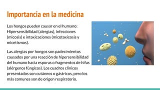 Importancia en la medicina
Los hongos pueden causar en el humano:
Hipersensibilidad (alergias), infecciones
(micosis) e intoxicaciones (micotoxicosis y
micetismos).
Las alergias por hongos son padecimientos
causados por una reacción de hipersensibilidad
del humano hacia esporas o fragmentos de hifas
(alérgenos fúngicos). Los cuadros clínicos
presentados son cutáneos o gástricos, pero los
más comunes son de origen respiratorio.
 